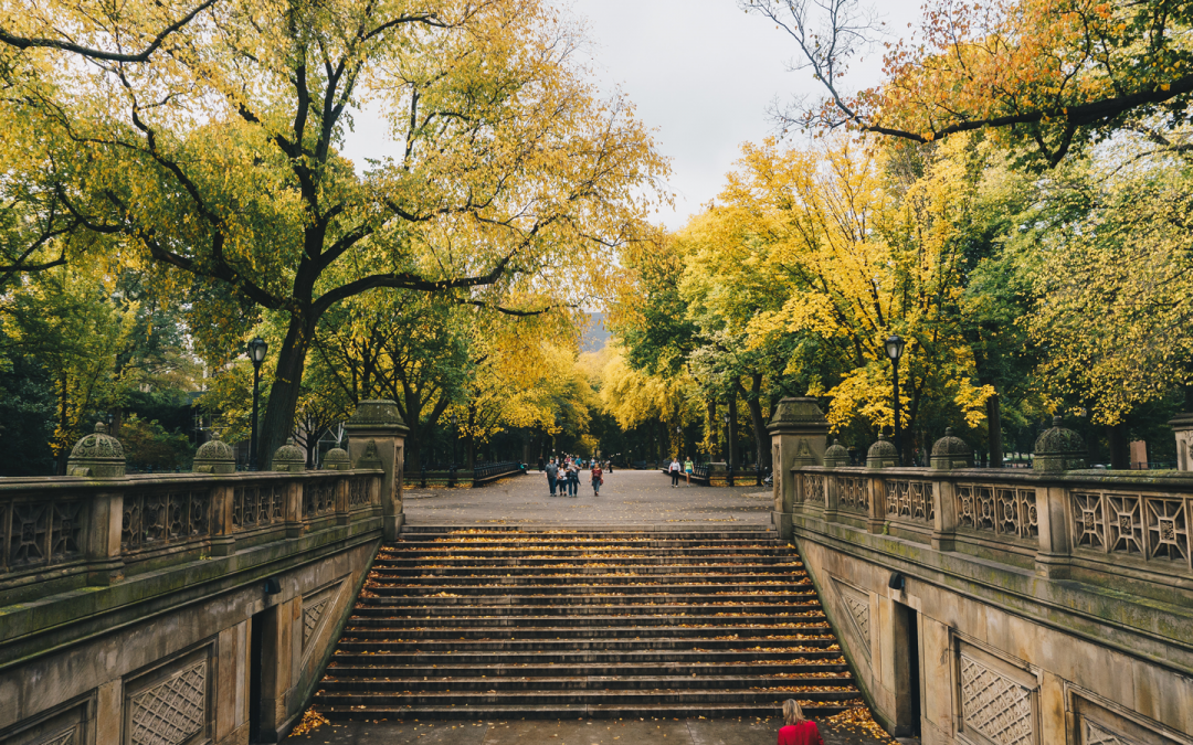 Where to Spend Mother’s Day in NYC!